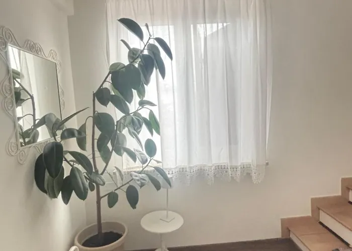 Appartamento Trento Green